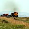 South Bound Freight Train