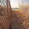 #6 Cape Cod , Wood Neck Beach