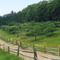 Country Lane, Old Sturbridge Village, Sturbridge, Massachusetts