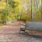 Stoney Brook Wildlife Sanctuary