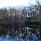 Skating Pond