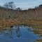 Tuckahoe State Park