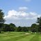 Suburban Club - Hole #14