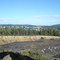 Coal Tipper at mine near Frostburtg State University