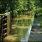 C&O canal, by lockhouse 8