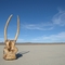 Tusks at El Mirage dry lake