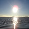 El Mirage (not so) dry lakebed