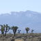 Mountain View From El Mirage