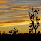 The High Desert Panorama
