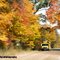 School bus, northern Kent Co.