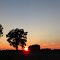 Sunset on the field, Solon, MI