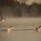 A Peaceful Autumn Morning