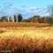 Silos on Gavin Lake Ave.