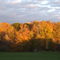 Fall Nightfall in Okemos