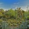 Desert Garden with Henri Rousseau colors, Huntington Botanical Garden San Marino California