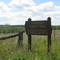 BuckBoard Forest Road