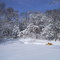 Warner Park - Wintertime