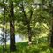 Summer Day, Allemansrätt Park