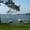Pokegama Lake, Grand Rapids, MN