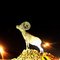 Llegando a MI Tijuana de noche...