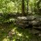 Missouri Rocks and Trees