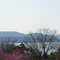 BRANSON VIEW