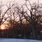 Rothwell Park