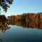 Rothwell Park