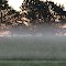 Morning Fog