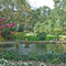 Descanso Gardens 1