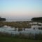 Looking out to the Ross Barnett Reservior from the Natchez Trace Pkwy