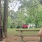 Woodpecker