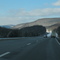 Bare Trees on 81