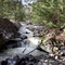 Brant's Falls in March