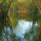 Orange County Wetlands ...04.23.08