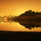 Upper Newport Bay - Early Morning ...09.04.08