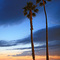 Two Palms ...03.21.07