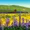 Deer Leaping Over Flowers