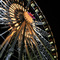 Big Wheel ...07.17.07