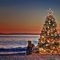 Christmas Tree Sunset at Crystal Cove State Park, Newport Beach, California