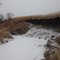 Eroding riverbank