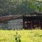 A really old Chicken House----st