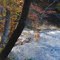Autumn on a North Carolina River