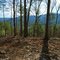 North Carolina Mountains