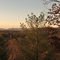 The evening light