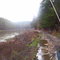 Hiawassee Lake Trail, north of Murphy, NC