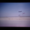 Fox air races
