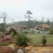Cottonade Tornado Damage