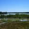 Looking across the Flooded Missouri River to the Mouth of the Yellowstone River, Buford, North Dakota