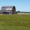 Abandoned Barn, Buford, North Dakota